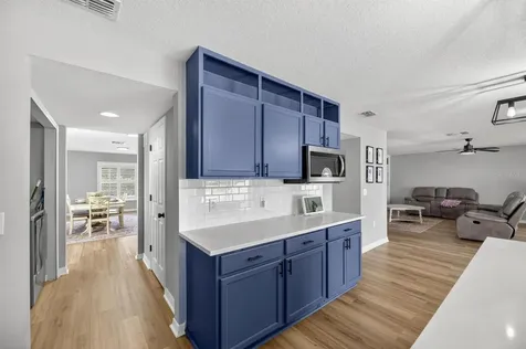 13531 Mango Bay Drive Riverview FL 33579