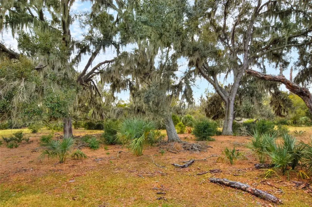 0 Carlton Lake Road Wimauma FL 33598