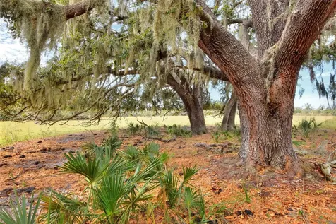 0 Carlton Lake Road Wimauma FL 33598
