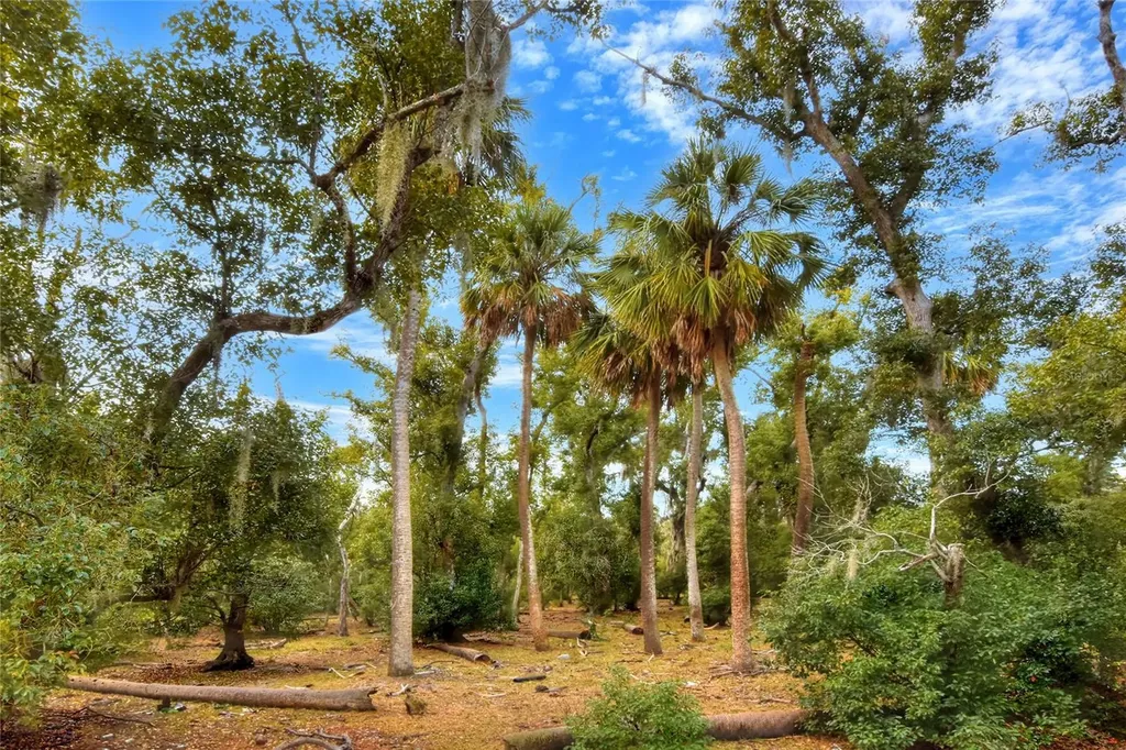 0 Carlton Lake Road Wimauma FL 33598