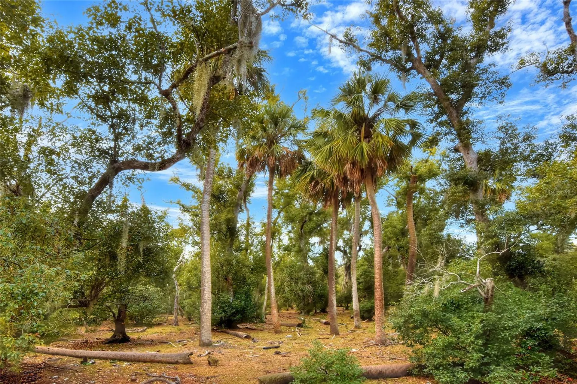 0 Carlton Lake Road Wimauma FL 33598