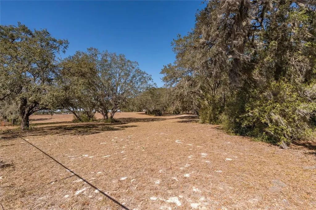 Anderson Lane Lady Lake FL 32159