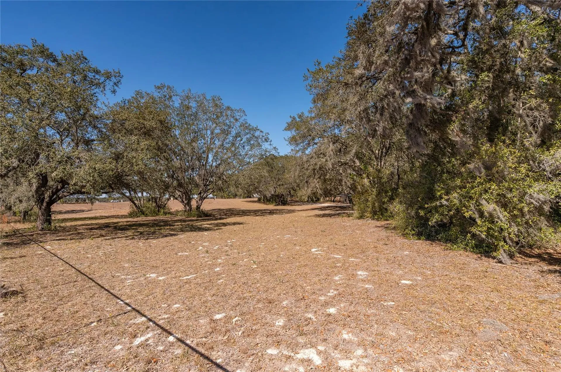 Anderson Lane Lady Lake FL 32159