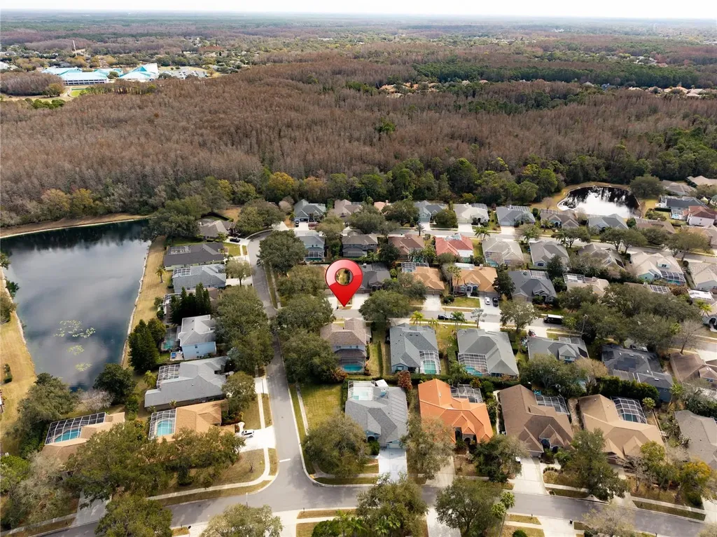 5292 Kernwood Court Palm Harbor FL 34685