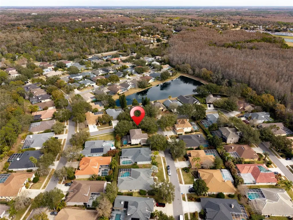 5292 Kernwood Court Palm Harbor FL 34685