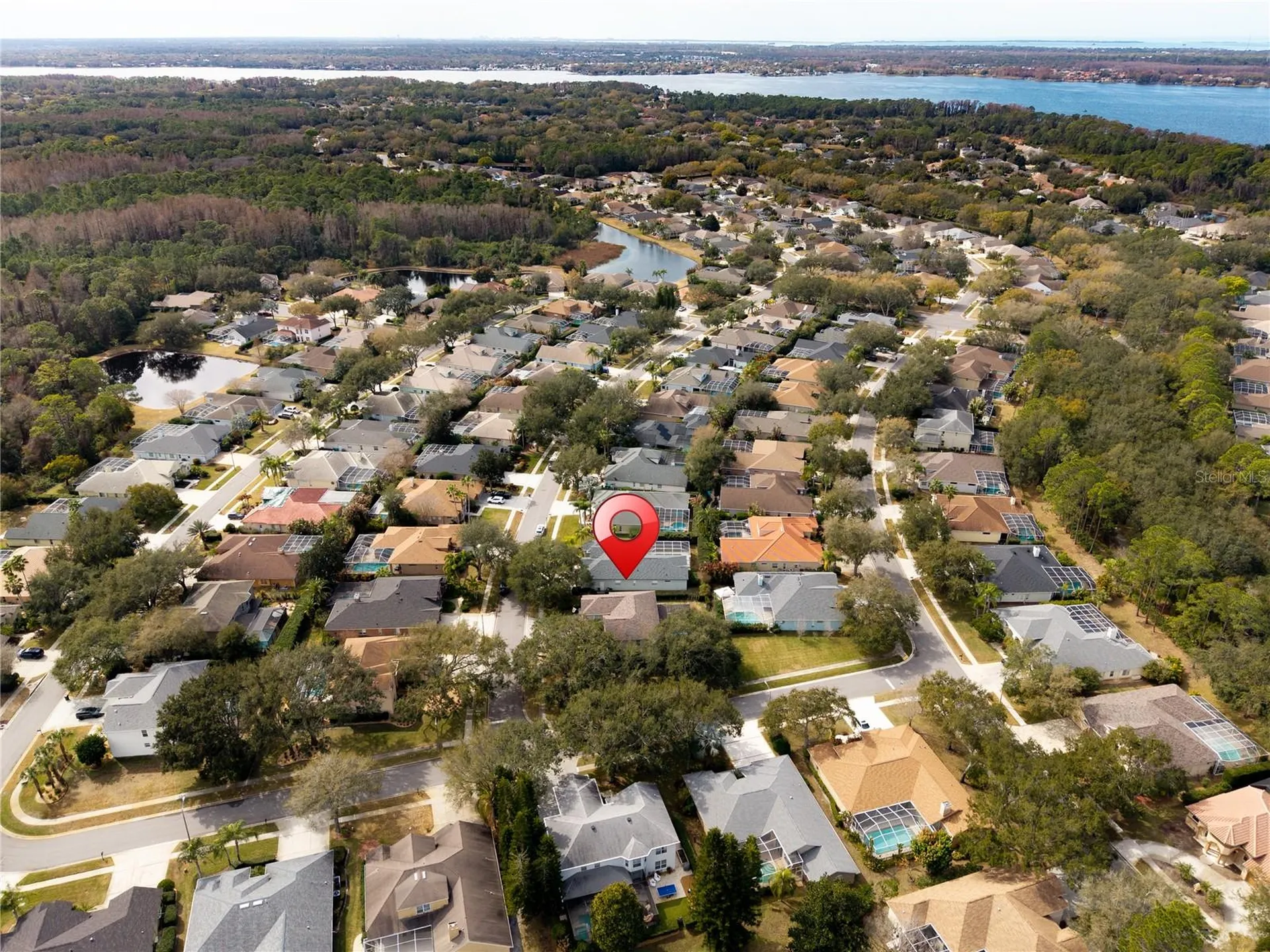 5292 Kernwood Court Palm Harbor FL 34685