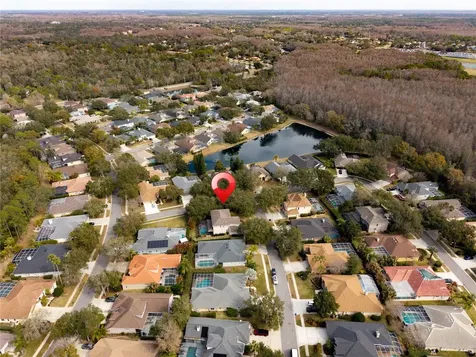 5292 Kernwood Court Palm Harbor FL 34685