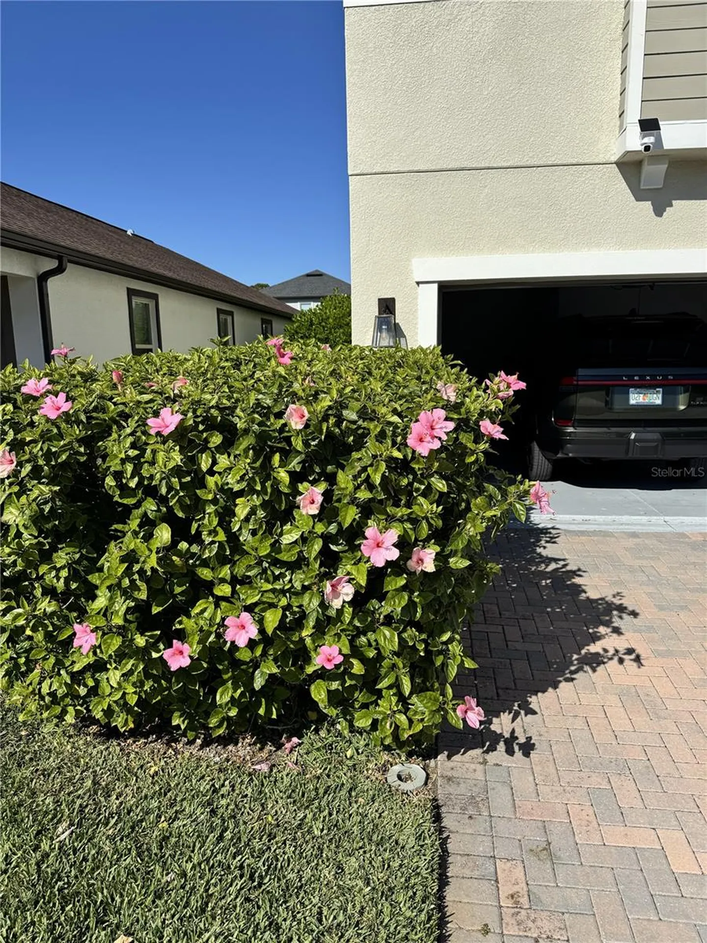 18023 Fenders Way Land O Lakes FL 34638