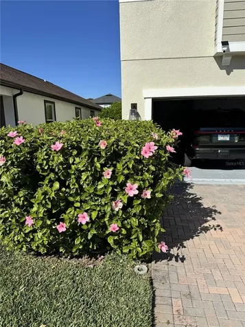 18023 Fenders Way Land O Lakes FL 34638