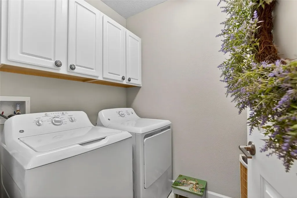 16909 April Plush Drive Wimauma FL 33598