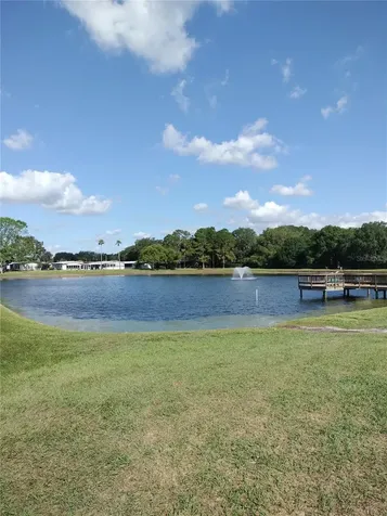 3145 Hickory Drive Wesley Chapel FL 33543