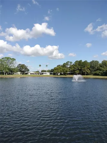 3145 Hickory Drive Wesley Chapel FL 33543