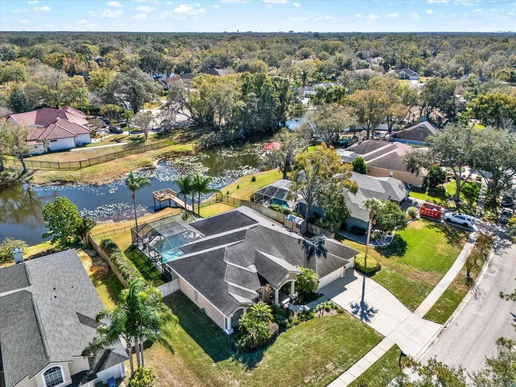 17217 Tiffany Shore Drive Lutz FL 33549