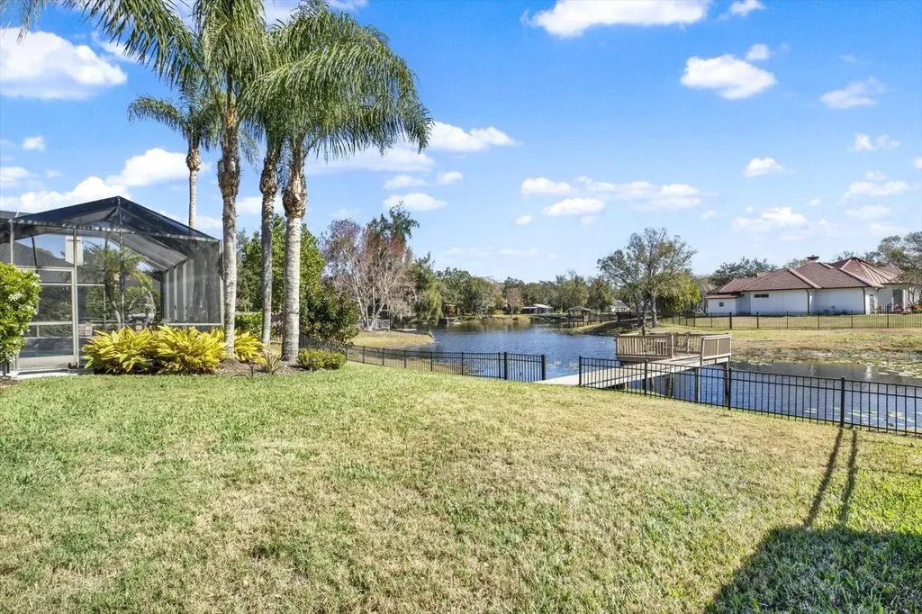 17217 Tiffany Shore Drive Lutz FL 33549