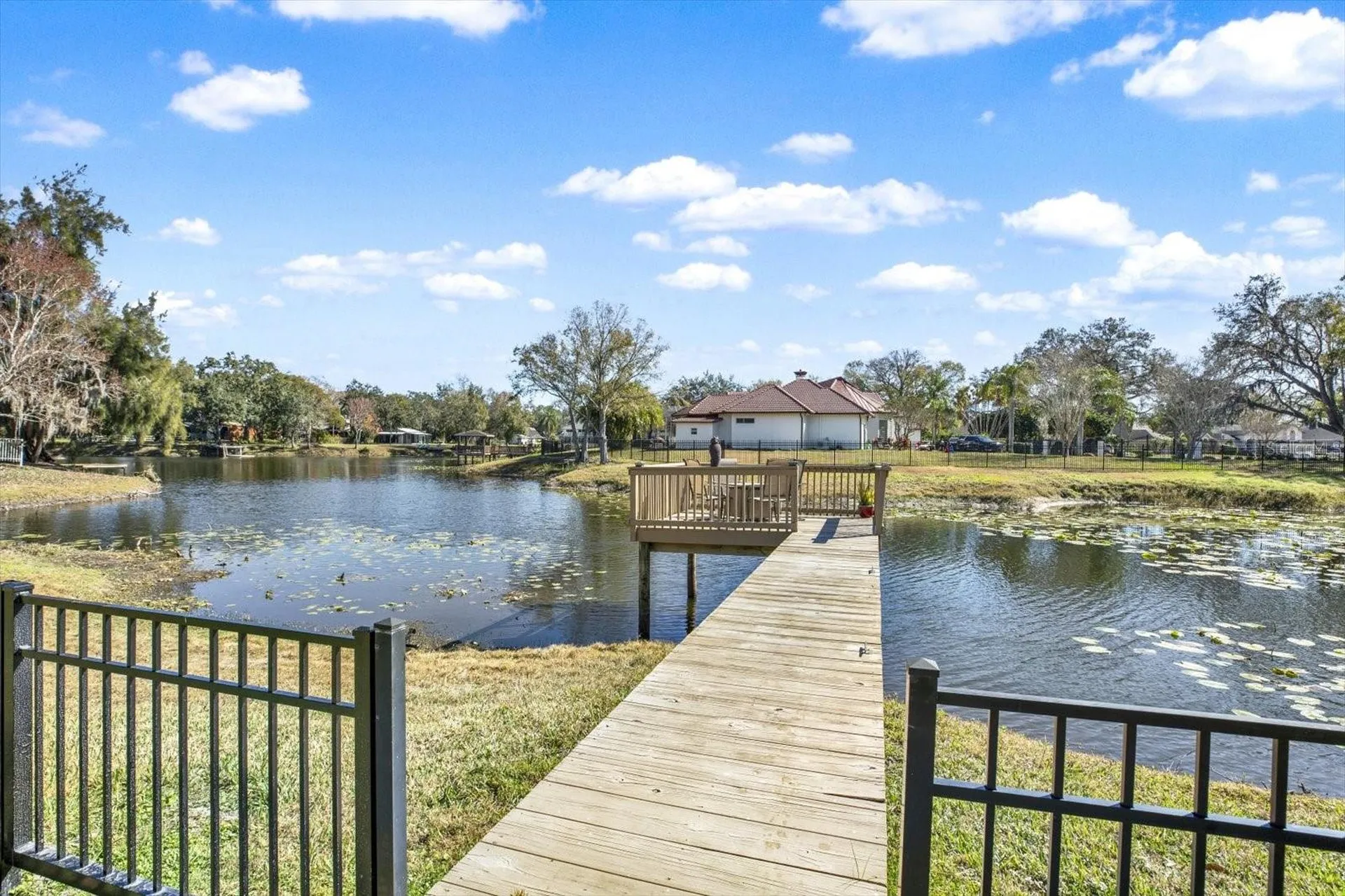 17217 Tiffany Shore Drive Lutz FL 33549
