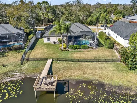 17217 Tiffany Shore Drive Lutz FL 33549