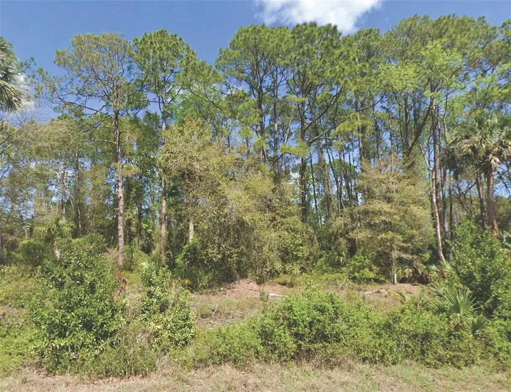 318 Redwood Boulevard Georgetown FL 32139