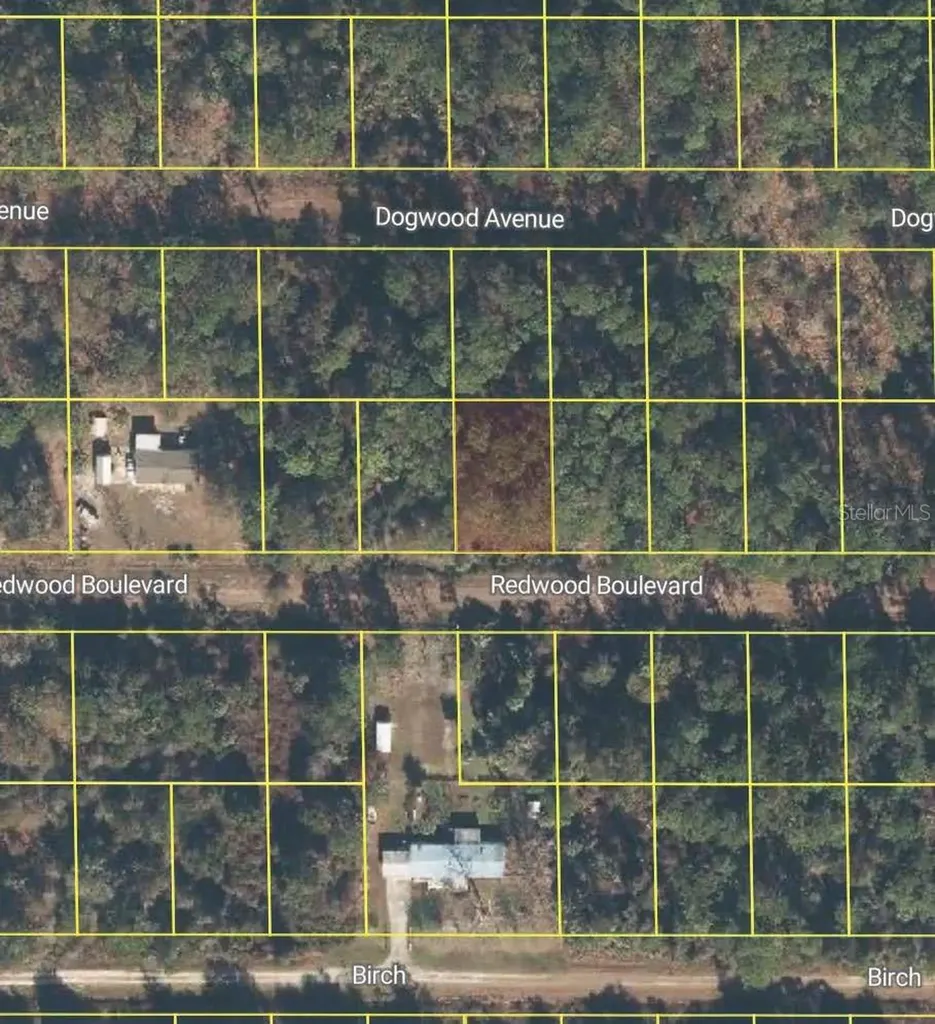 318 Redwood Boulevard Georgetown FL 32139