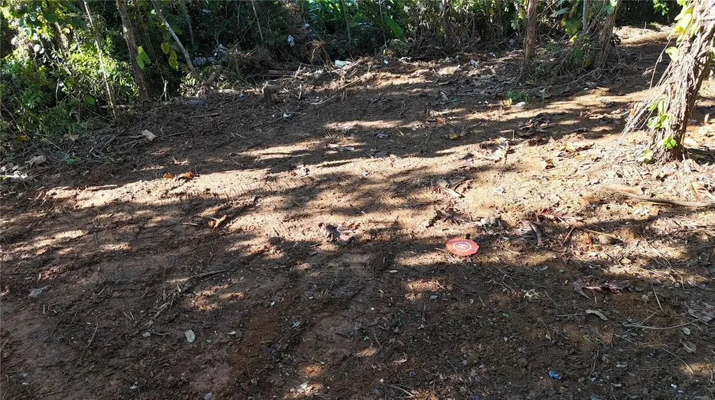 186 Camino Los Reyes Canovanas PR 00729