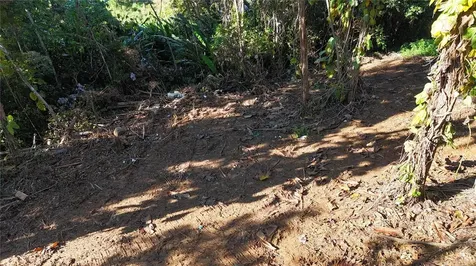 186 Camino Los Reyes Canovanas PR 00729