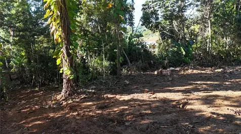 186 Camino Los Reyes Canovanas PR 00729