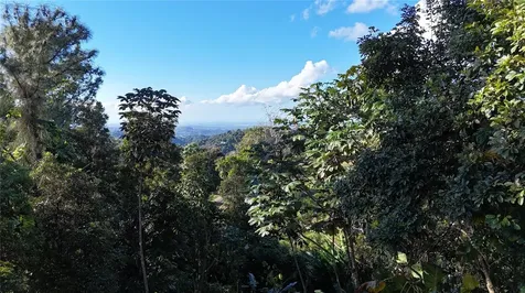 186 Camino Los Reyes Canovanas PR 00729