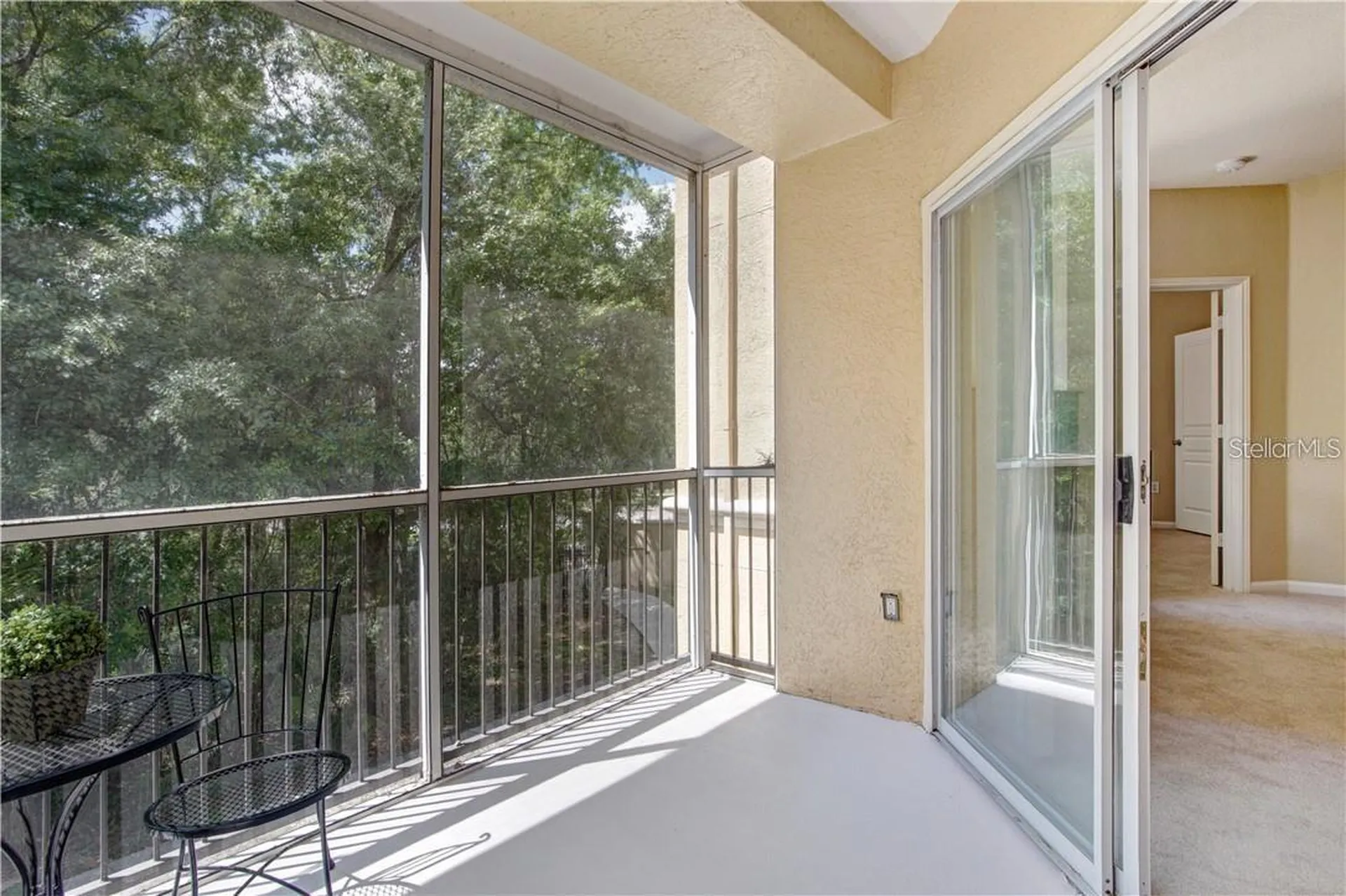 5125 Palm Springs Boulevard Tampa FL 33647