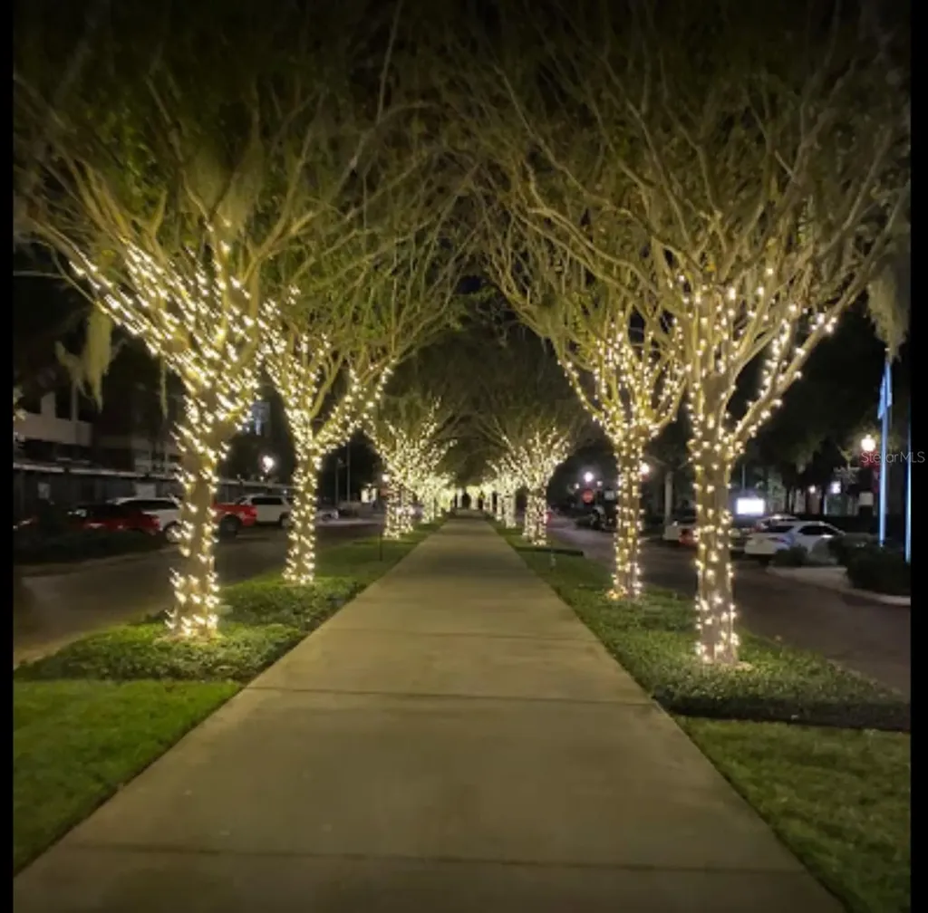 1301 Eastern Pecan Place Winter Garden FL 34787