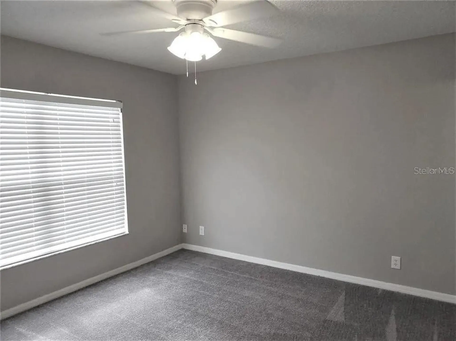 3430 Dragon View Court Valrico FL 33594