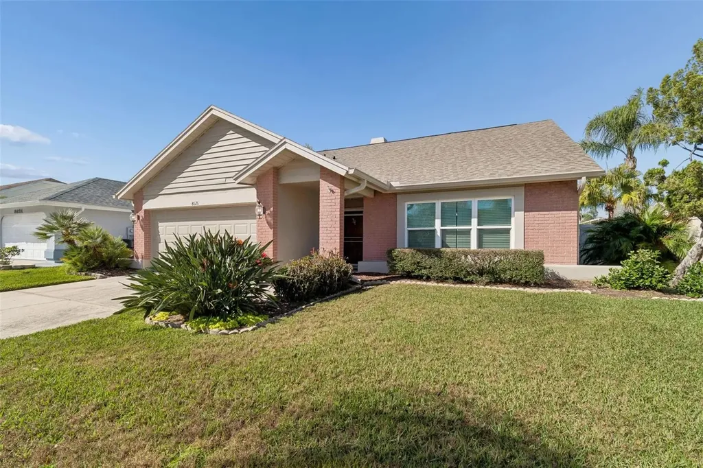 8626 Boysenberry Drive Tampa FL 33635