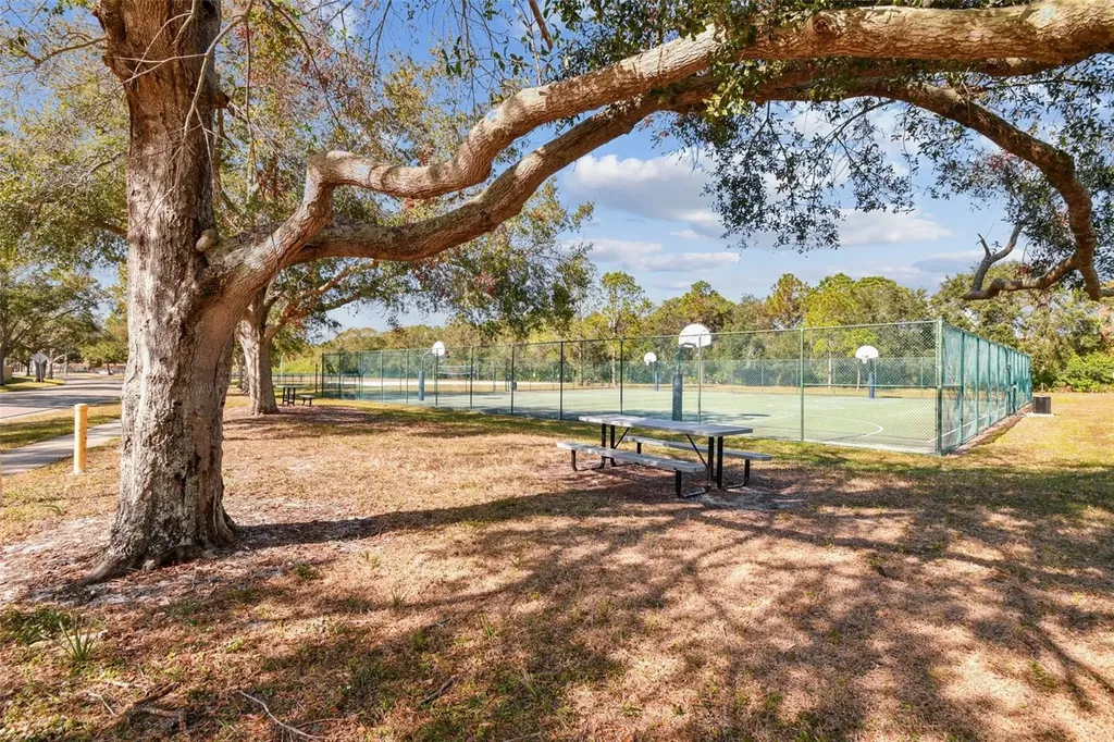 8626 Boysenberry Drive Tampa FL 33635