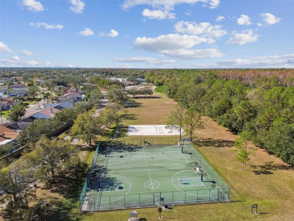 8626 Boysenberry Drive Tampa FL 33635