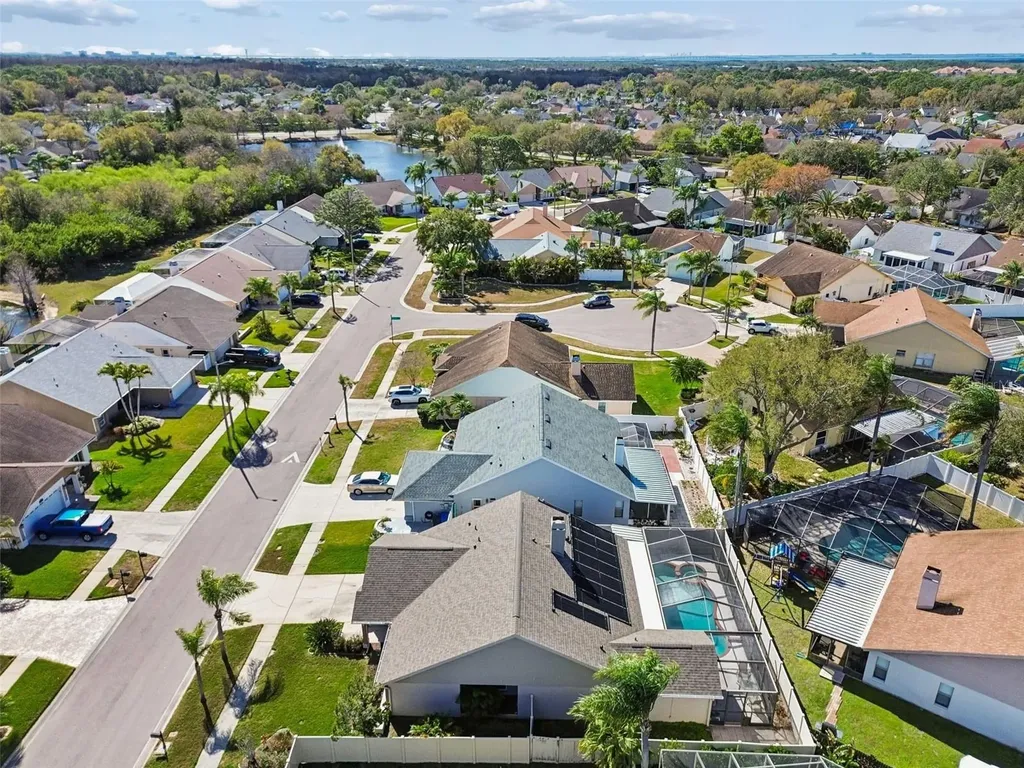 8626 Boysenberry Drive Tampa FL 33635