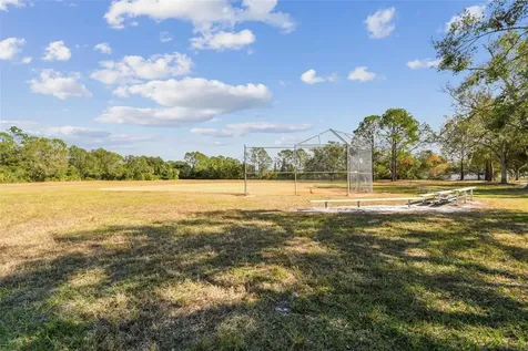 8626 Boysenberry Drive Tampa FL 33635