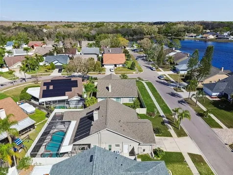 8626 Boysenberry Drive Tampa FL 33635