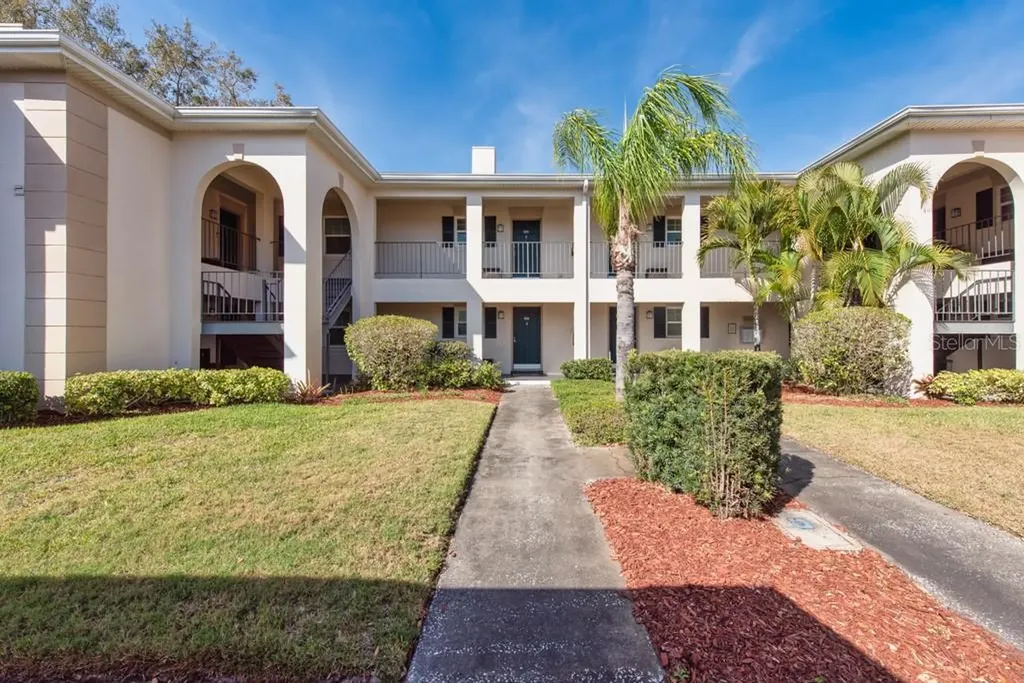 10336 Carrollwood Lane Tampa FL 33618