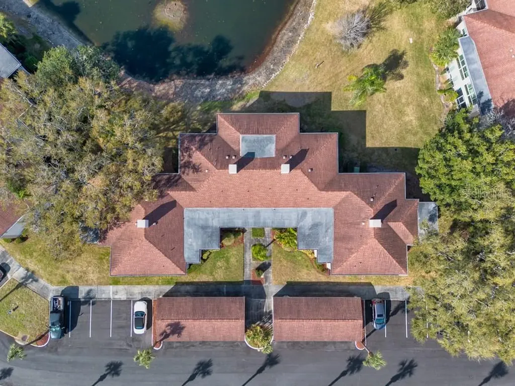 10336 Carrollwood Lane Tampa FL 33618