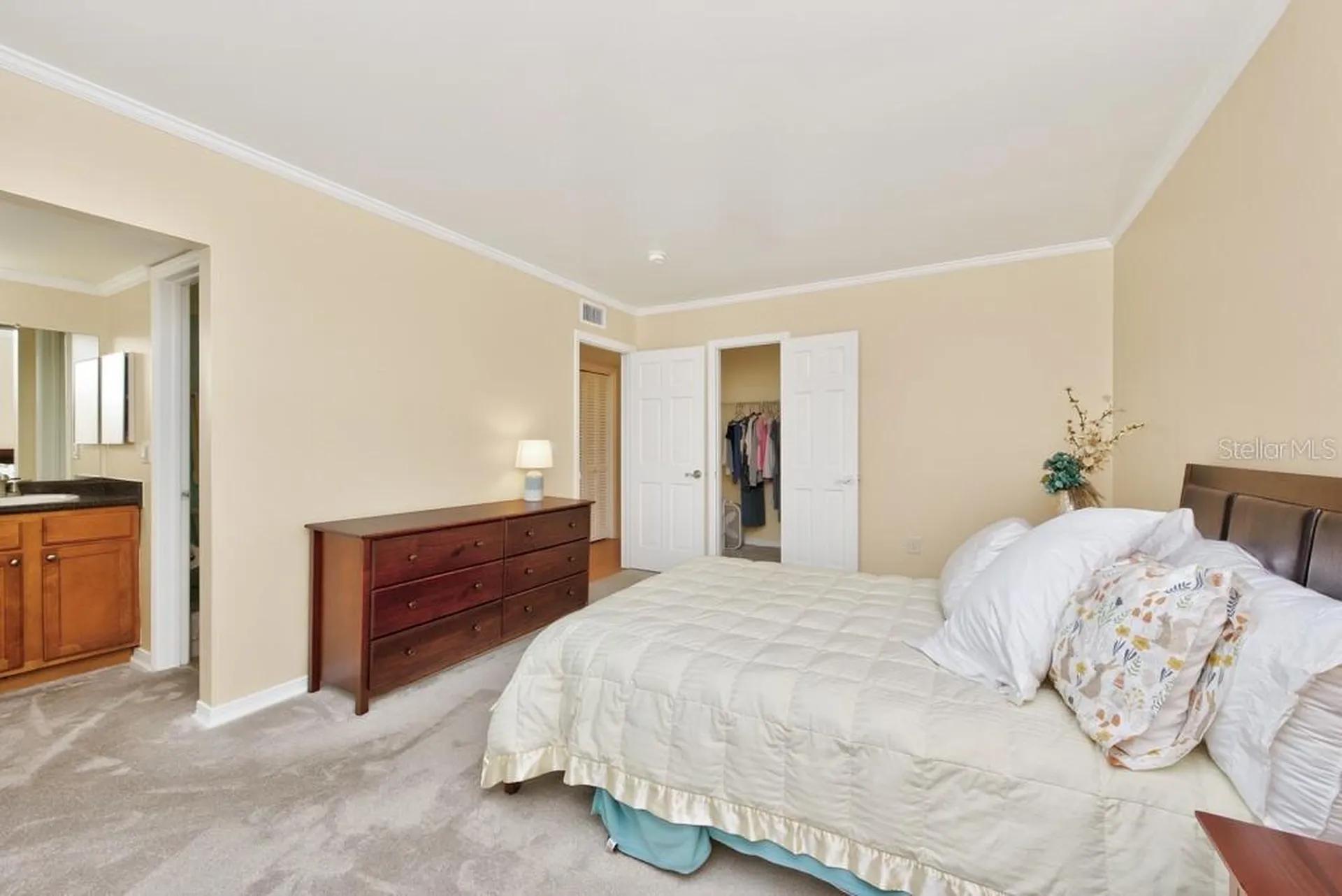 10336 Carrollwood Lane Tampa FL 33618