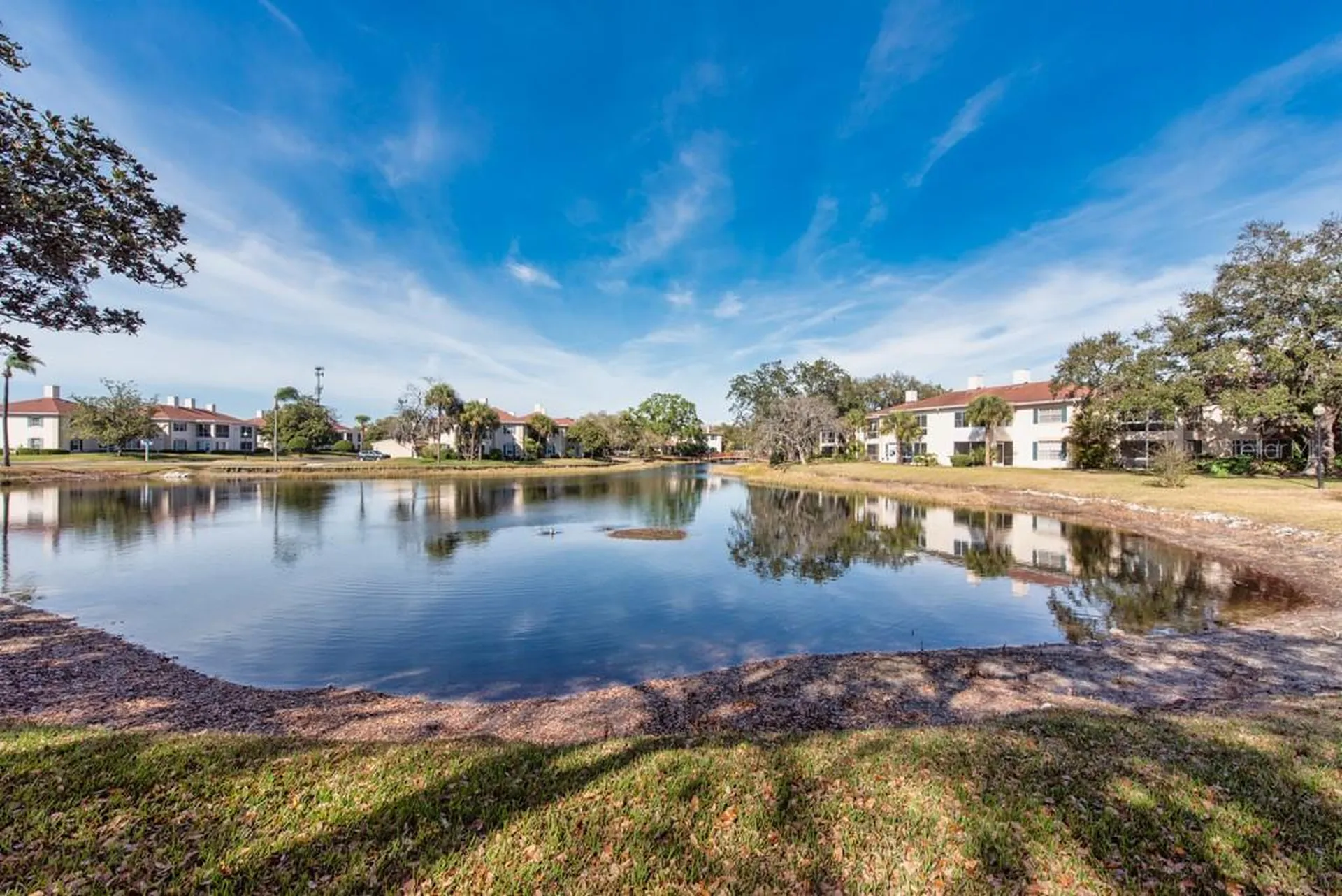 10336 Carrollwood Lane Tampa FL 33618