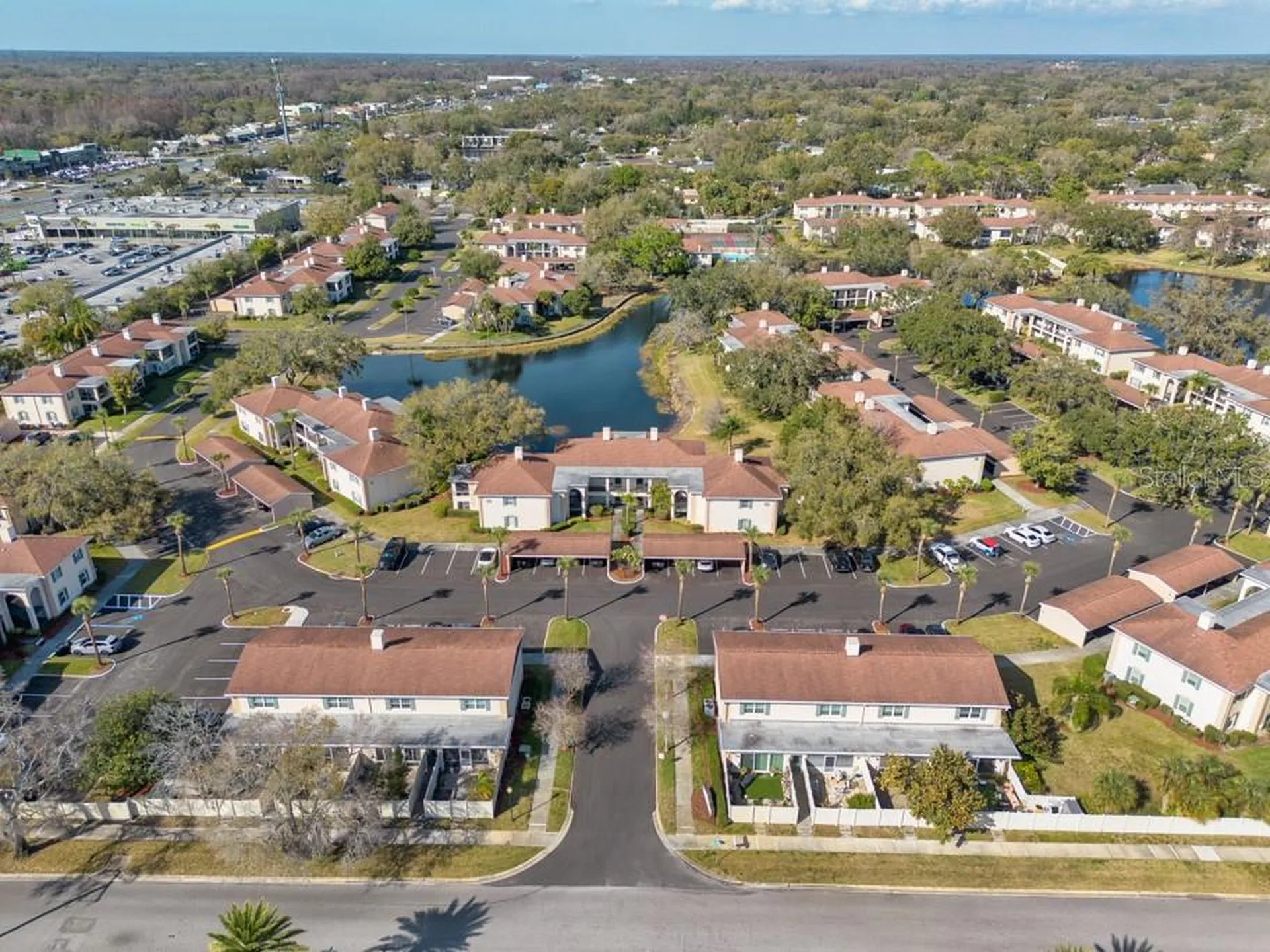10336 Carrollwood Lane Tampa FL 33618