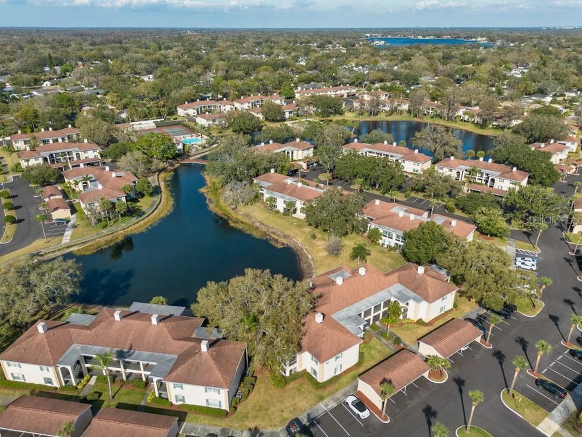 10336 Carrollwood Lane Tampa FL 33618