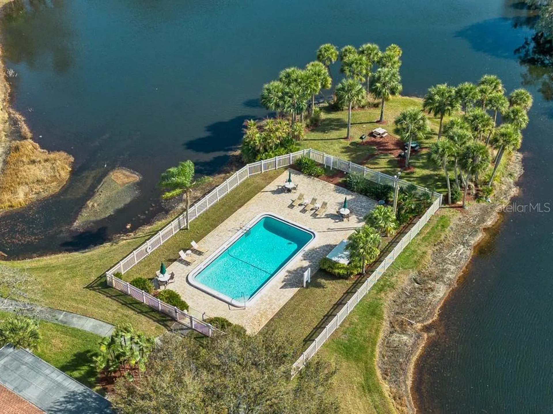 10336 Carrollwood Lane Tampa FL 33618