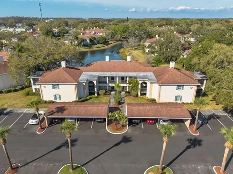 10336 Carrollwood Lane Tampa FL 33618