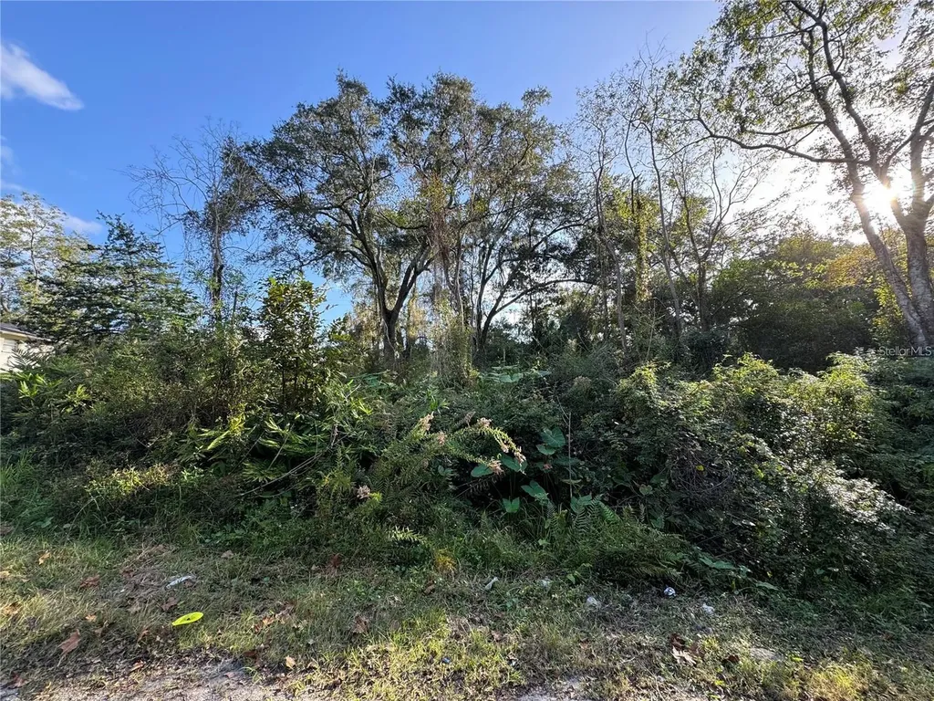 00 SE 18th Avenue Gainesville FL 32641