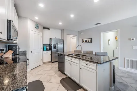 10334 Echo Dock Loop San Antonio FL 33576