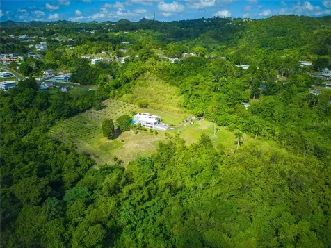 Morovis PR 00687
