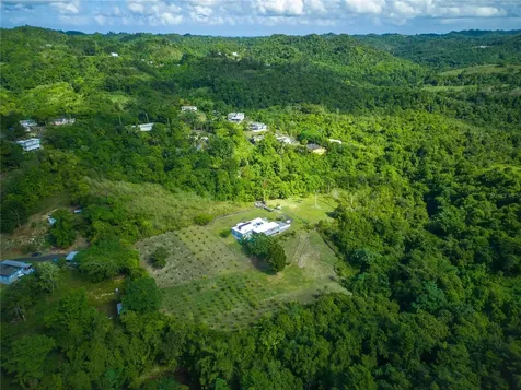 Morovis PR 00687