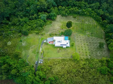 Morovis PR 00687