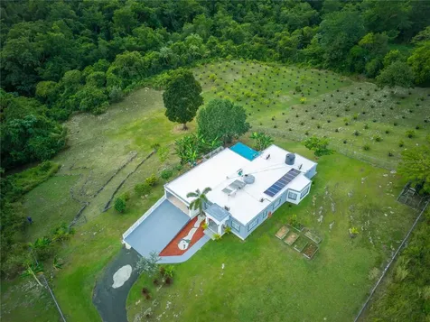 Morovis PR 00687