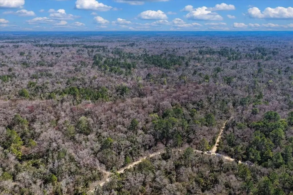 86.77 Acres SW Turtle Pass Road Chiefland FL 32626